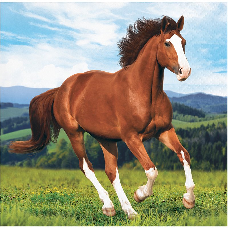 16 tovaglioli cavalli e pony 25 cm