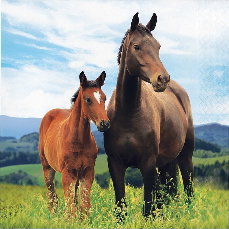 16 tovaglioli cavalli e pony 33 cm