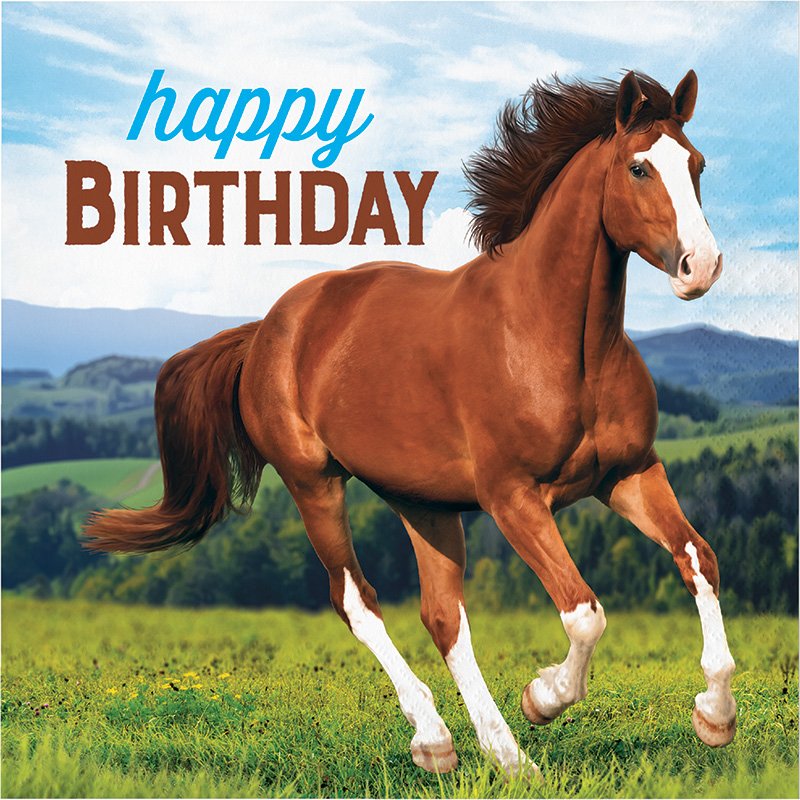16 tovaglioli Hbd con cavalli e pony da 33 cm