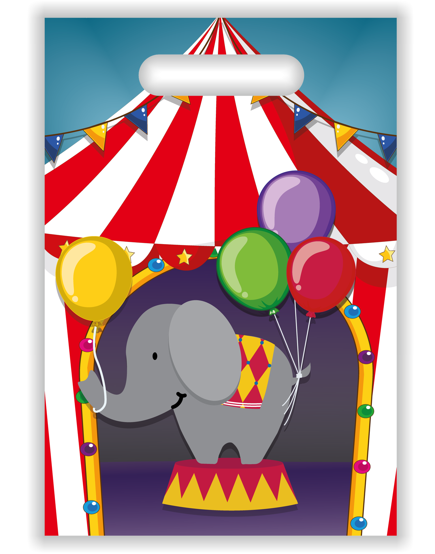 6 Bolsas Circo