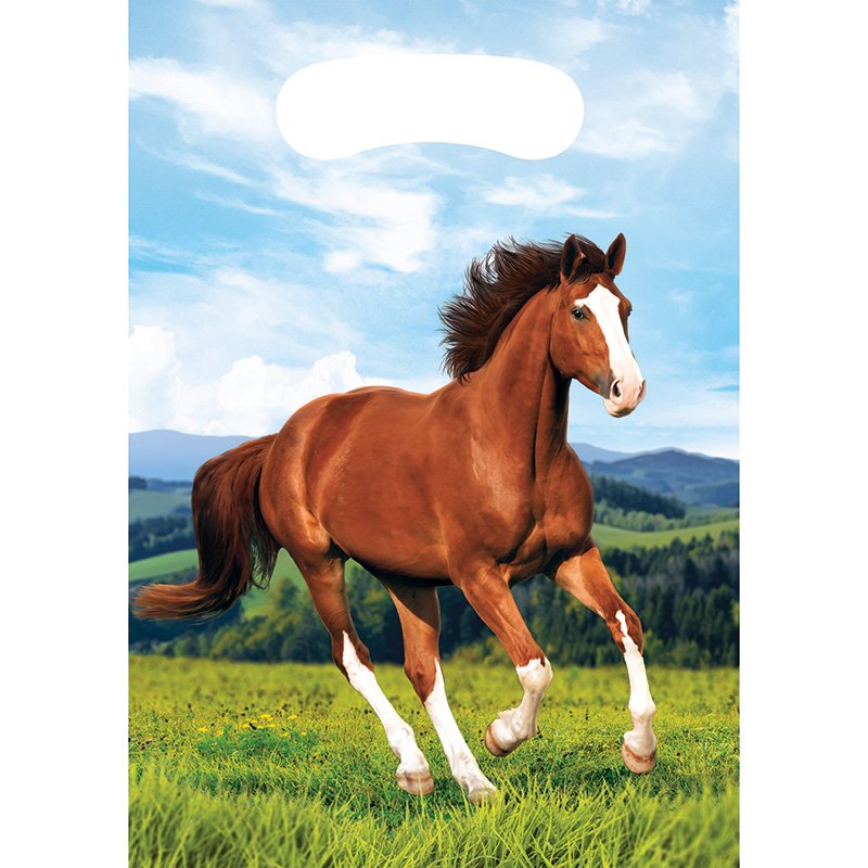8 borse per cavalli e pony