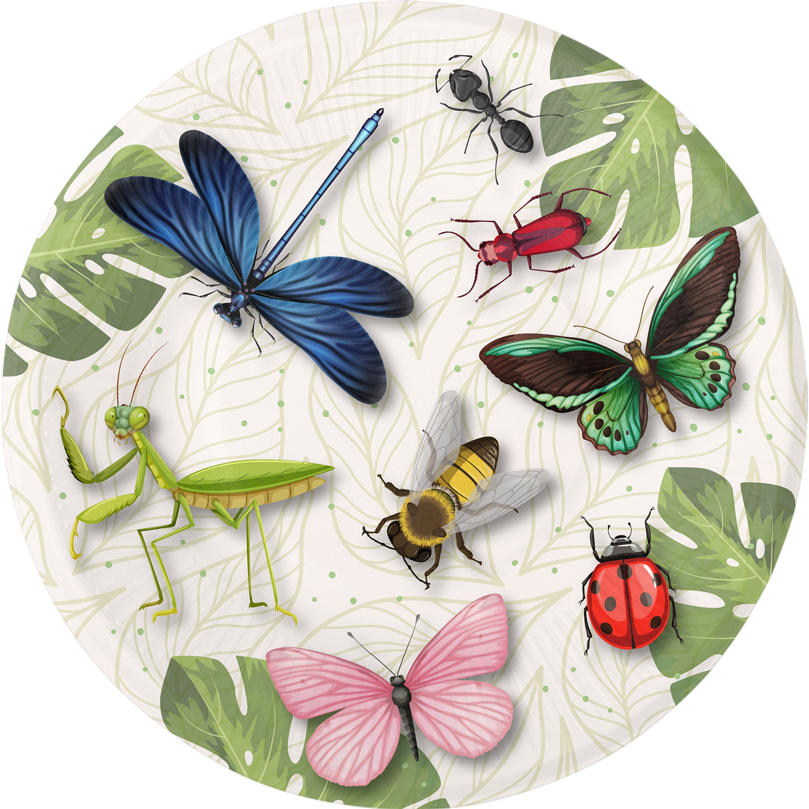 8 Piatti 23 cm BIRTHDAY BUGS