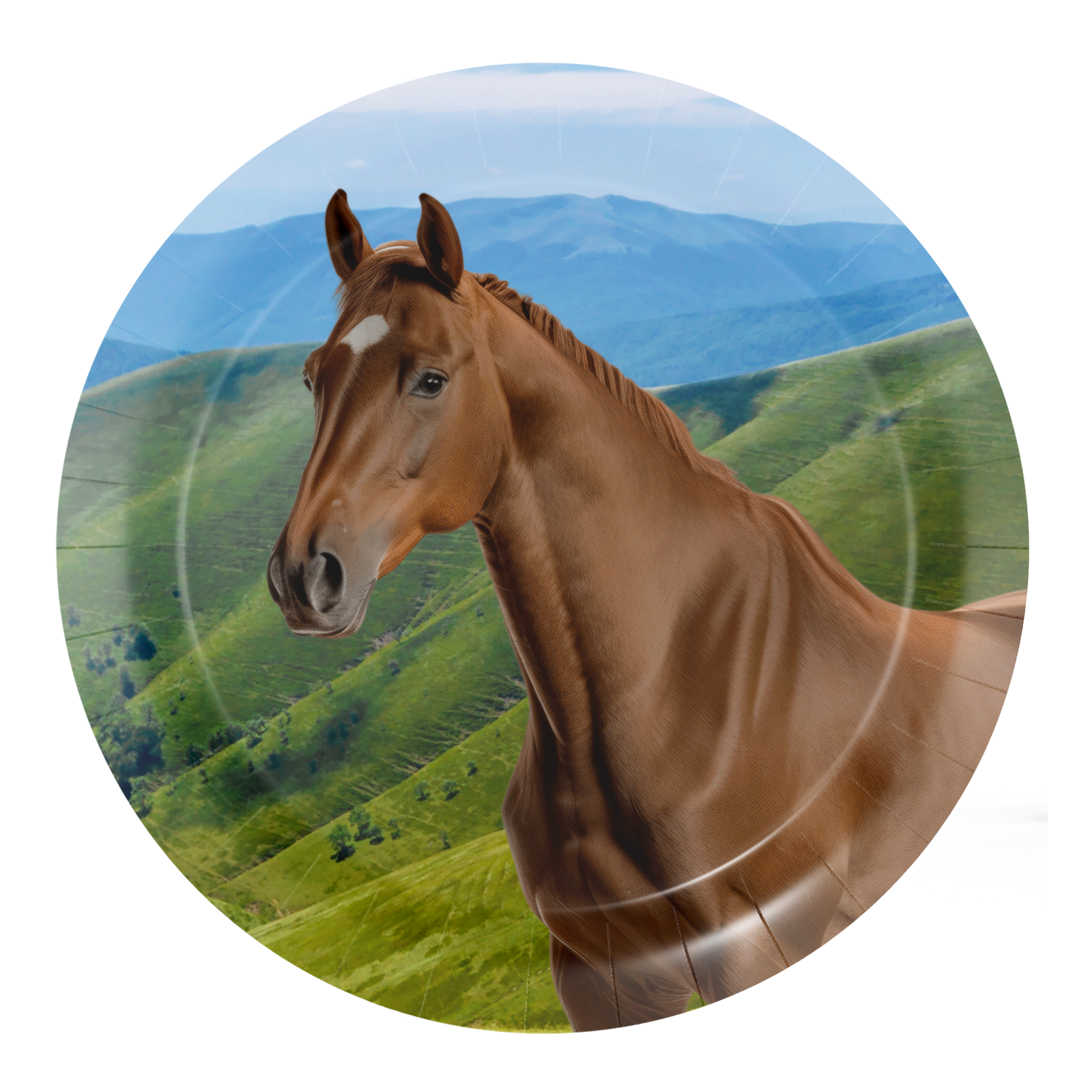 8 Piatti Cavallo e Pony 18 cm