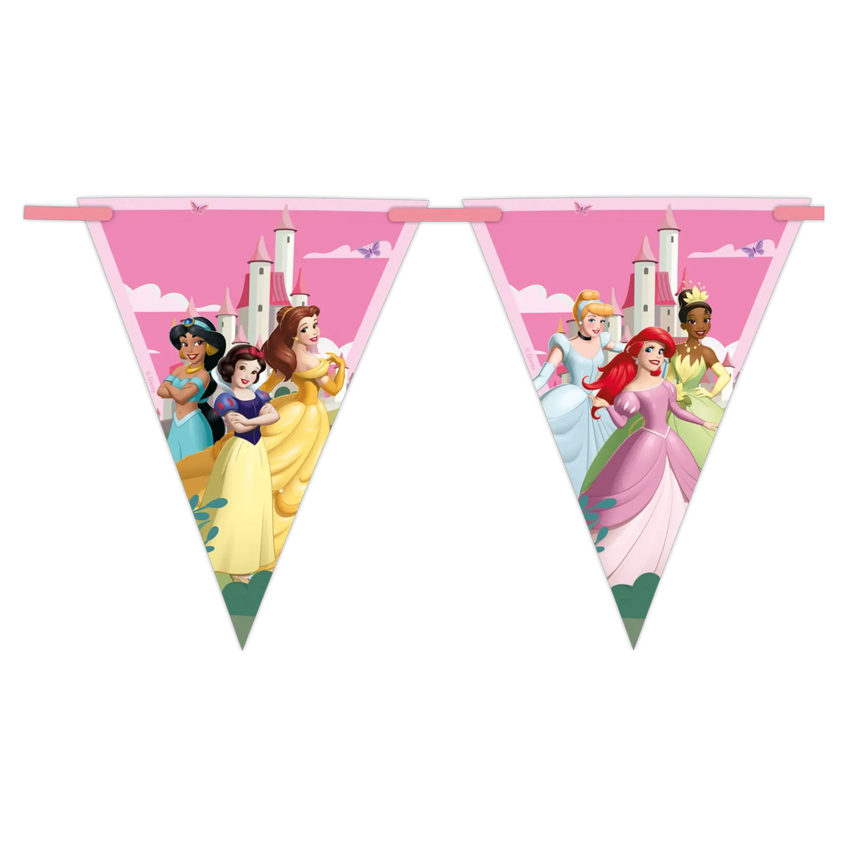 DISNEY PRINCESSES WORLD BUNTING