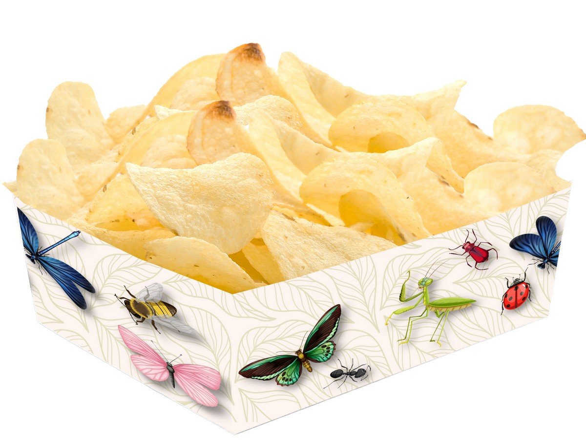 Bandeja Insects Party 15 x 11 x 6 cm