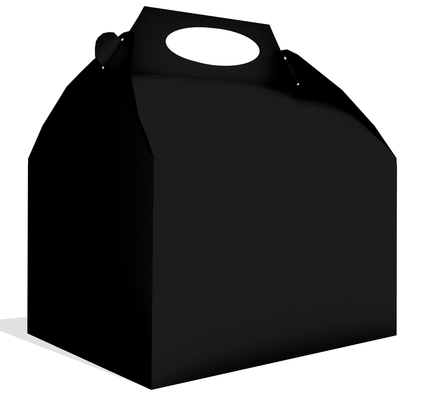 Scatola nera 20 x 16 x 11 cm