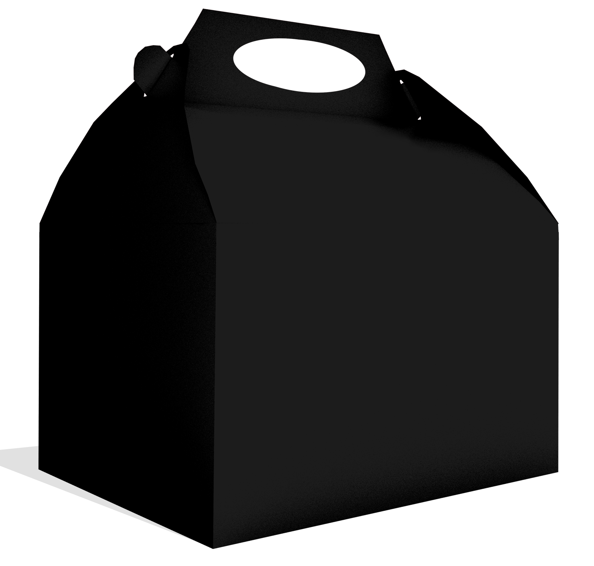 Scatola nera 20 x 16 x 11 cm