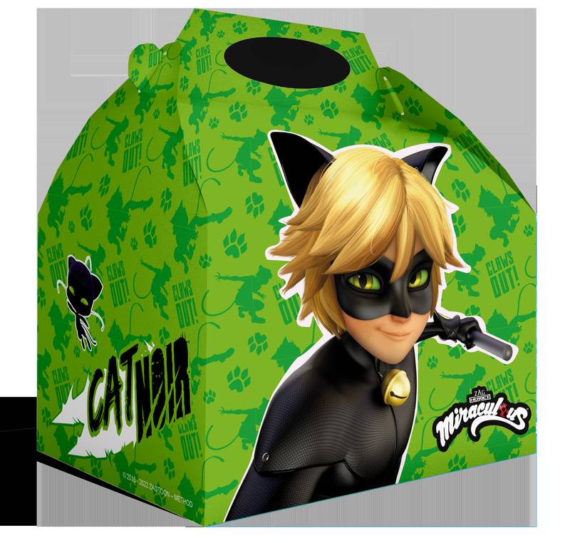 Cajita Cat Noir 20 x 16 x 11 cm