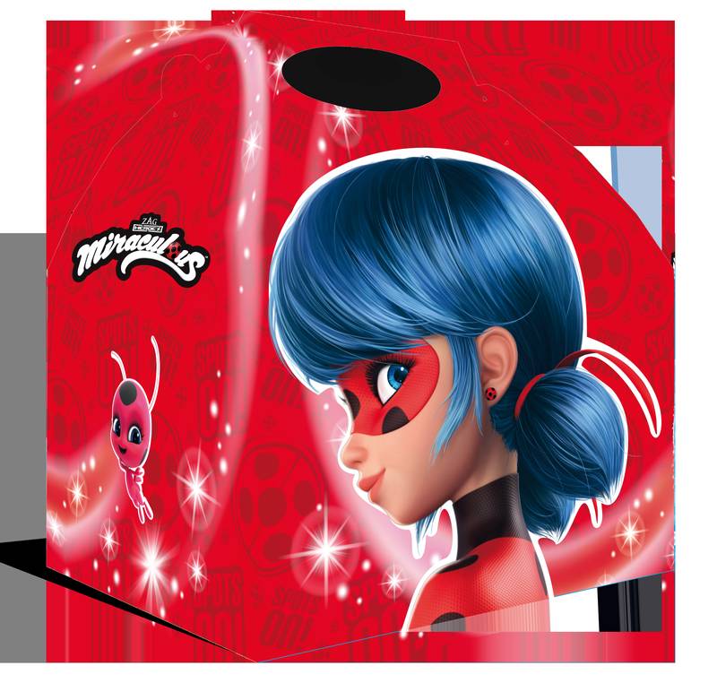 Ladybug Small Box 20 x 16 x 11 cm