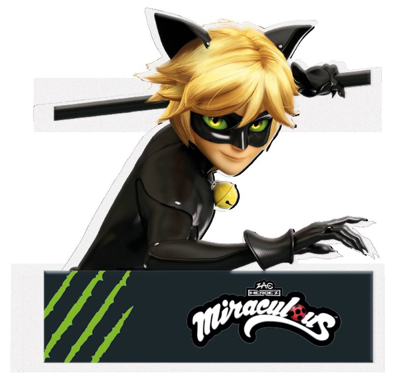 Figura Porexpan Cat Noir