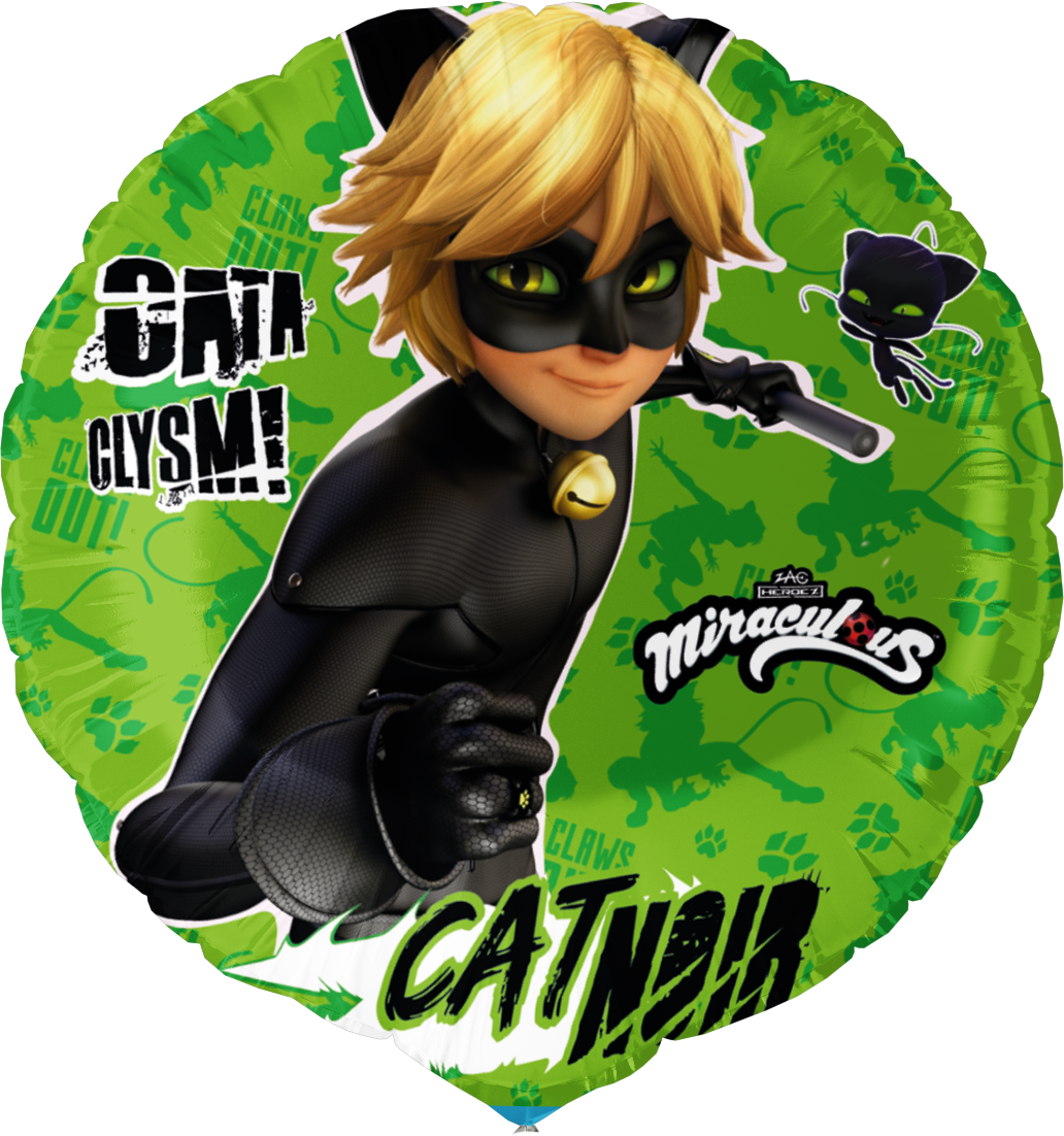 Globo Cat Noir 46 cm