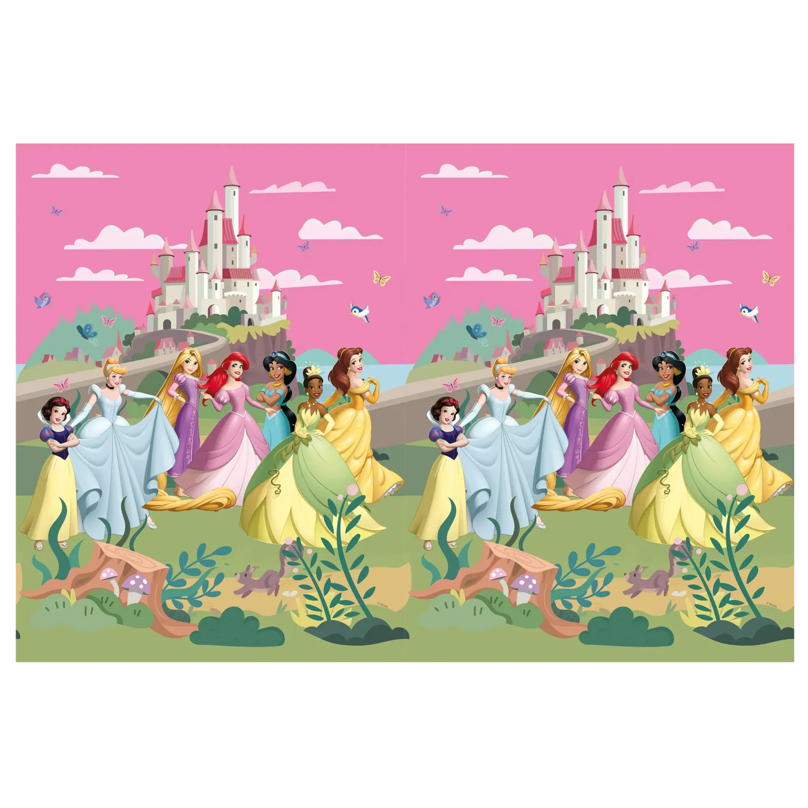 TOVAGLIA PRINCIPESSE DISNEY WORLD 120 x 180